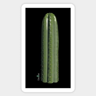 Trichocereus Pachanoi Yowie Sticker